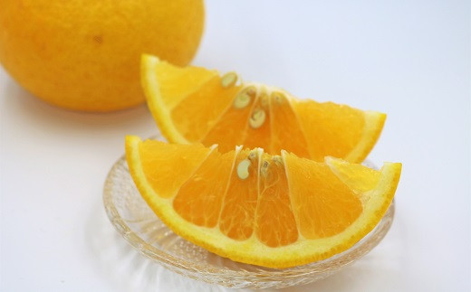 夏みかんはビタミンCやクエン酸が豊富。疲労回復やストレス対策にぴったりです！