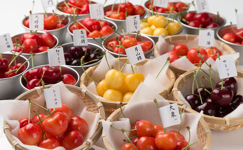 【先行受付】さくらんぼの玉手箱 6種類セット 立夏 ※品種指定不可