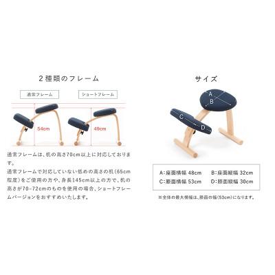 ふるさと納税 美濃市 バランスイージー 通常[ダークブラウン]+イージーライティングボードL【複数個口で配送】 |  | 02