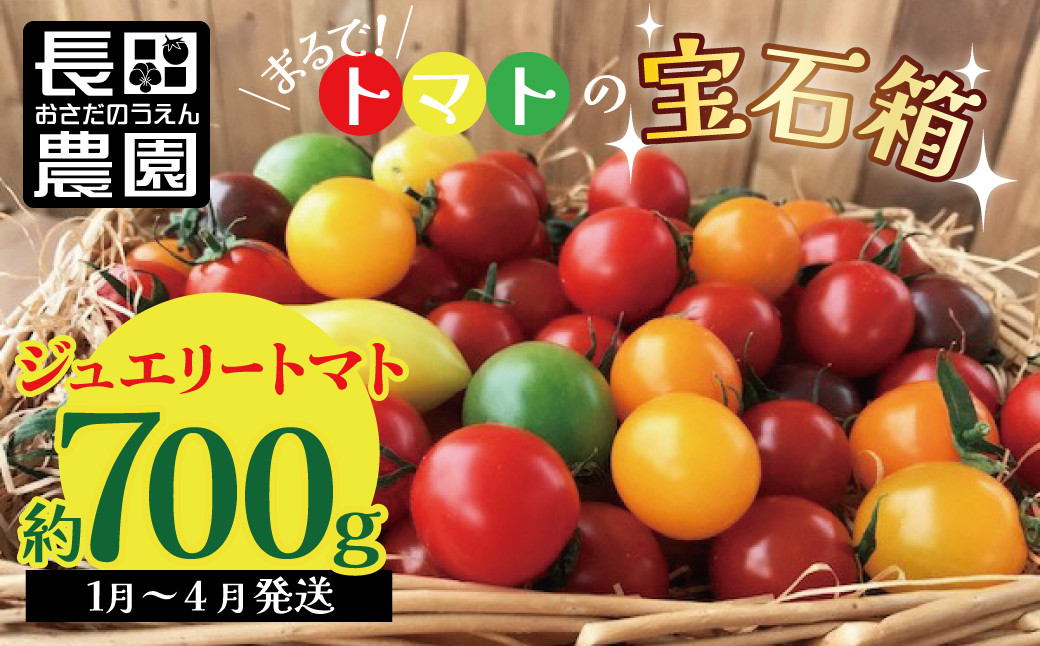 
【お試し】まるでトマトの宝石箱！ジュエリートマト 約700g（1月～4月発送）　長田農園 産地直送 トマト とまと 野菜 やさい フルーツ サラダ 濃厚 甘い ご褒美 プレゼント 美容 健康 リピート多数 人気 高評価 先行受付 数量限定 碧南市　H004-126
