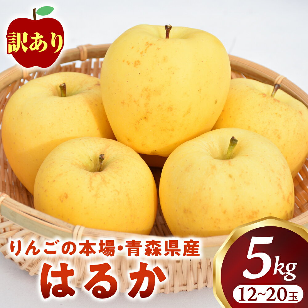【ふるさと納税】高級りんご 訳あり はるか 約5kg 12〜20玉【2025年産・先行予約 | 2025年12月上旬〜2026年1月上旬頃まで発送予定】りんご 林檎 フルーツ 果物 果実 青森 青森県 青森県産 三戸 三戸町 高級 産地直送 農家直送 ふるさと納税 ふるさと 送料無料