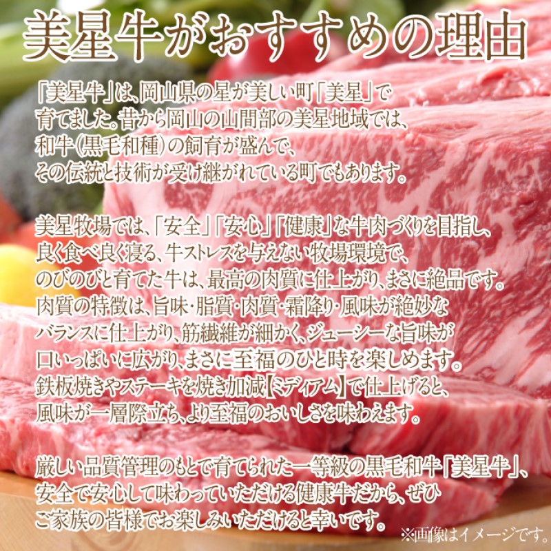 黒毛和牛 サーロインステーキ 約400g （約200g×2パック）A4等級 以上 牛脂付き サーロイン 美星牛 美星牧場 岡山