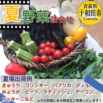 ふるさと納税 十和田市 《レビュー高評価商品》【青森県産】季節に出会える「旬」の野菜セット10〜15品 |  | 01