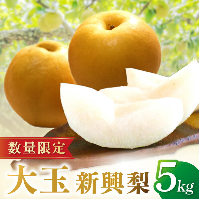 【ふるさと納税】残りわずか／京丹後産・大玉 新興梨 5kg（6玉～10玉）（2026年10月中旬から発送） 国産 6～10 個 玉 ふるさと 納税 梨 なし ナシ 5kg 先行予約 期間限定 フルーツ くだもの 果物 赤梨 JA京都 農協 農家直送 生産者応援 農家応援 送料無料