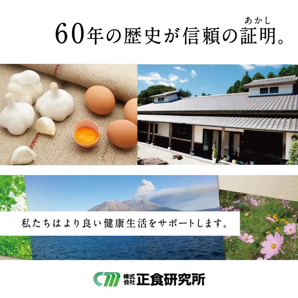 【健康補助食品】黒酢入りにんにく卵黄 （31粒入り×3袋） にんにく 健康食品 ニンニク 玄米 黒酢 正食研究所