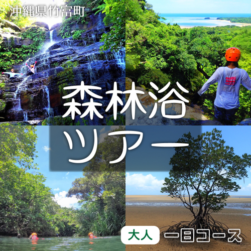 西表島 森林浴1日ツアー 大人1名分