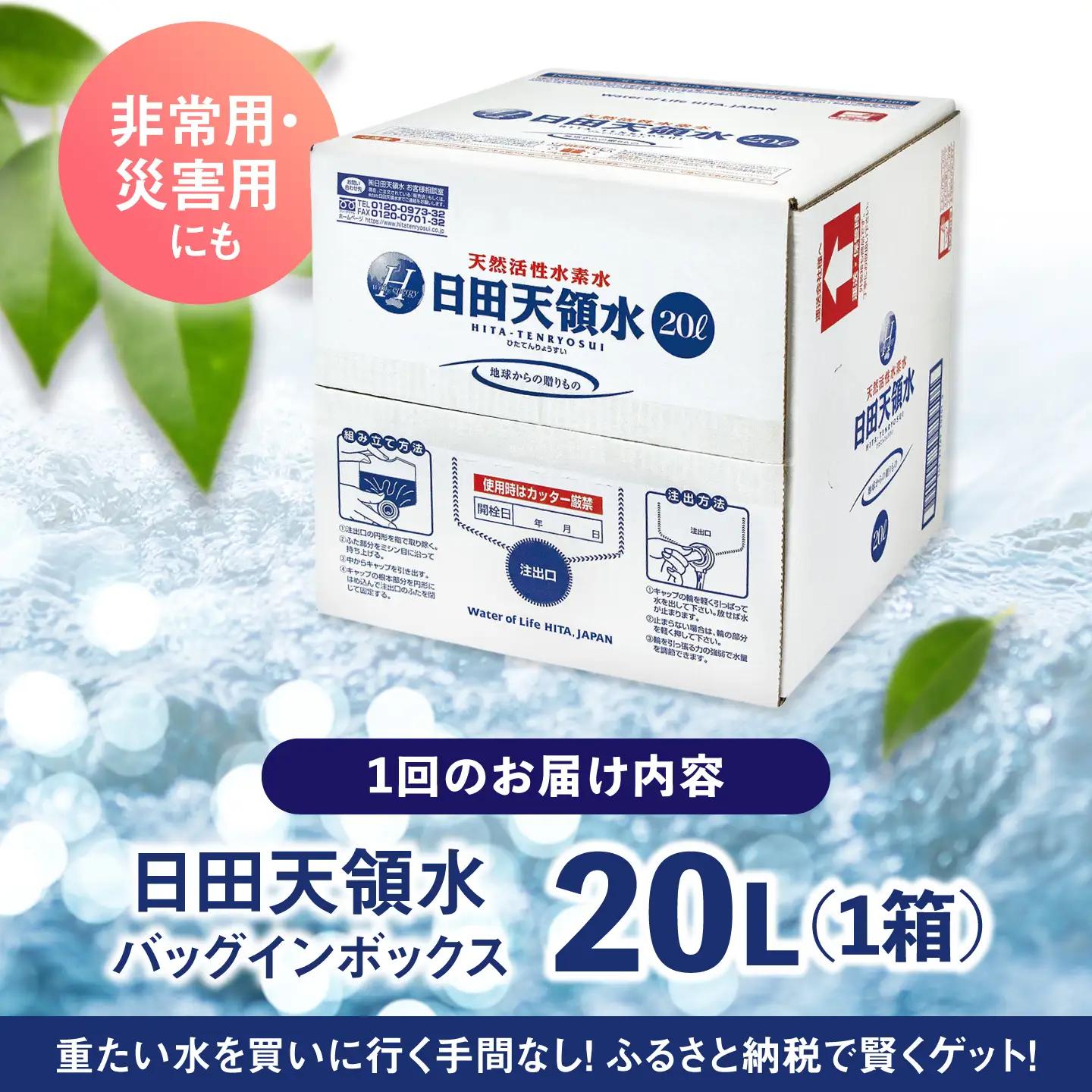 【全2回定期便】日田天領水 20L×1箱 天然水 備蓄 防災 ミネラルウォーター シリカ[AREG006]