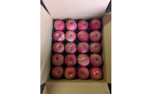 青森県産りんご 光センサー選別サンふじ 秀Ａ品 約10kg（中～小玉 32~40玉）　りんご 国産 フルーツ 果物 林檎 リンゴ サンふじ 中玉 小玉 新鮮 青森県 三戸町 AS-25-012