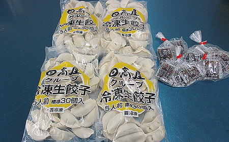 No.308 日高屋 冷凍生餃子 【120個】