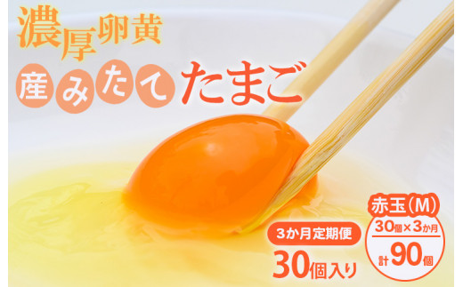 【定期便（３カ月）】小久保ファーム　濃厚卵黄　産みたてたまご　赤玉30個入り（M玉） ※着日指定不可 | 卵 定期便 30個 赤玉 玉子 たまご タマゴ 生卵 鶏卵 生みたて 産みたて 新鮮 濃厚 健