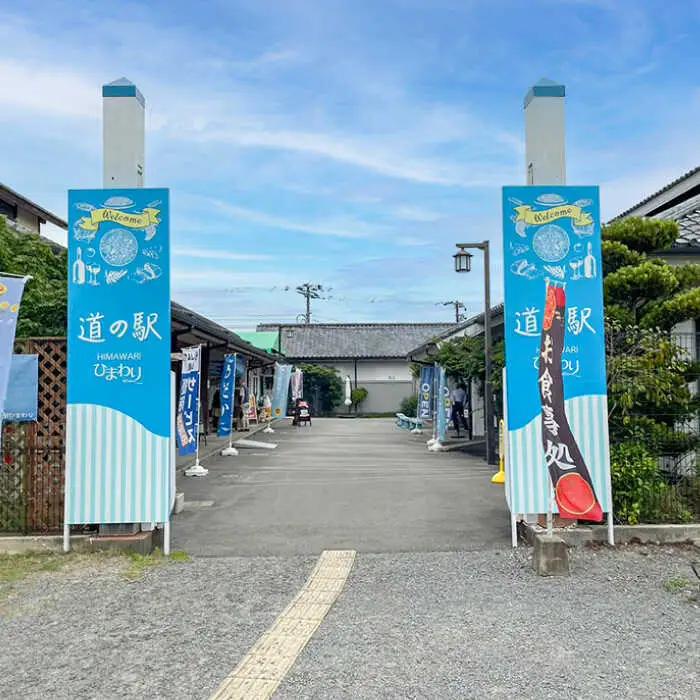 長崎名物皿うどん 食べ比べ3種 8食 / 皿うどん 長崎 中華 郷土料理 / 南島原市 / 道の駅ひまわり [SFR002]