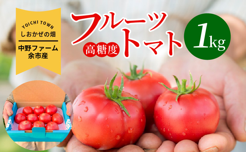 〔先行受付〕しおかぜの畑 中野ファーム 余市産 フルーツトマト　1kg(2026年初夏発送)　高糖度トマト 余市 北海道 甘い 旨味 美食 ブランド 季節 余市トマト 北海道産トマト ブランドトマト 人気トマト 高糖度のトマト_Y037-0350