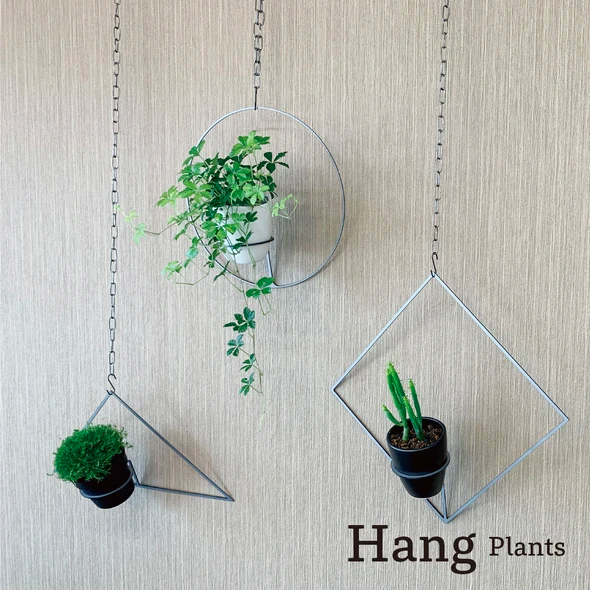 GRAVIRoN Hang Plants シリーズ Round 酸洗鉄（プランツハンガー） 観葉植物 プランター_イメージ5