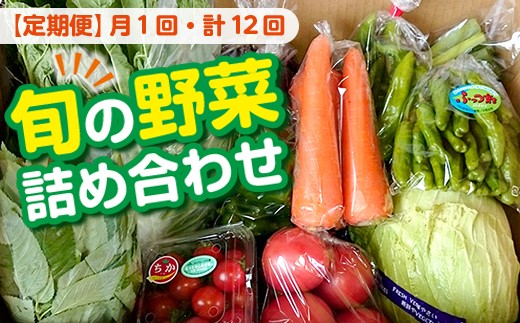 【定期便12ヶ月（2027年）】旬の野菜詰め合わせ　野菜 旬 新鮮 詰め合わせ 定期便 12ヶ月 毎月1回 計12回 1年間 セット 千葉県 房総 国産 地場産 農産物 農作物 BOX 産地直送 詰合せ お楽しみ JA おすすめ トレーサビリティ 2027年