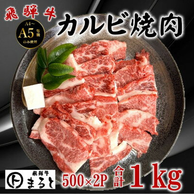 【ふるさと納税】飛騨牛カルビ焼肉用 計1000g(500g×2パック)　小分け　牛脂付き【配送不可地域：離島】【1745858】