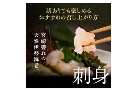【訳あり】冷凍伊勢海老2kg（3～10尾） 【 伊勢海老 イセエビ 訳あり 魚介 】