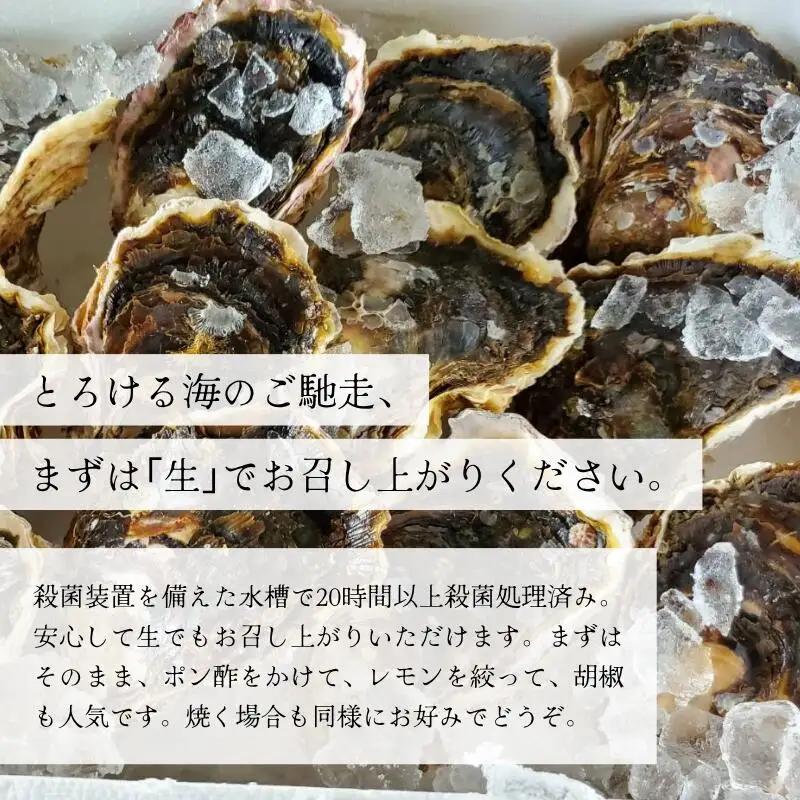 訳あり 岩がき 小サイズ 15個入 3.5kg前後 生食用 ： 牡蠣 殻付き