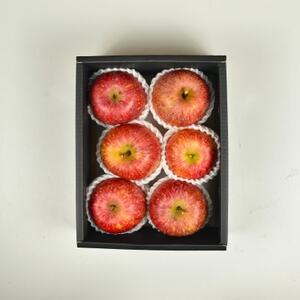 【発送月固定定期便】山梨市産　旬のフルーツ定期便全4回【配送不可地域：離島・沖縄県】【4074306】