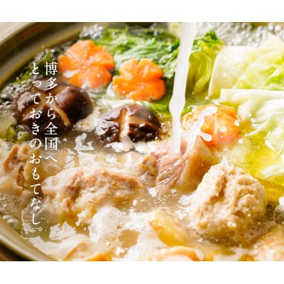 訳あり!博多水炊きセット　10人前(2人前×5セット)(岡垣町)【配送不可地域：離島】