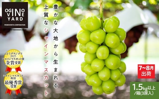【2026先行予約_7月上旬～発送】山梨県産早期出荷シャインマスカット １．5ｋｇ以上／箱　３房入 ALPAK014｜おすすめ 人気 山梨県 産地直送 フルーツ 果物 くだもの ブドウ ぶどう シャイン マスカット くだもの 国産 葡萄 新鮮