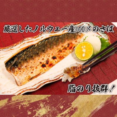 ふるさと納税 銚子市 無塩さば　約5kg |  | 03