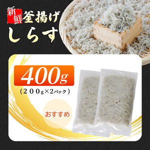 しらす 400g ( 200g × 2パック ) 冷凍 小分け しらす しらす しらす しらす しらす しらす【IY028】