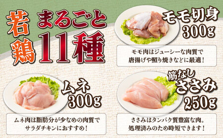 TRT06 若鶏まるごと 3.05kgセット