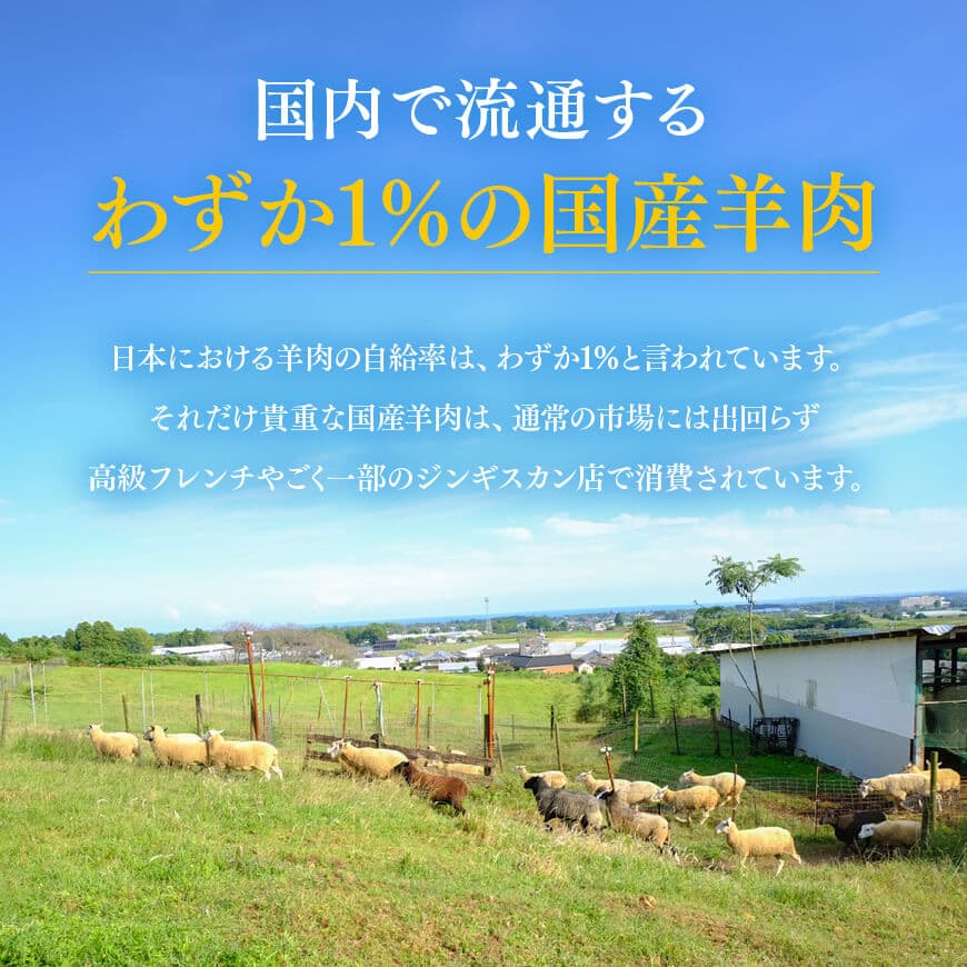 宮崎県産羊肉　寿ジンギスカン300g 【 肉 羊肉 国産 九州産 川南町産 ジンギスカン 羊 ひつじ 味付き 】[D11901]