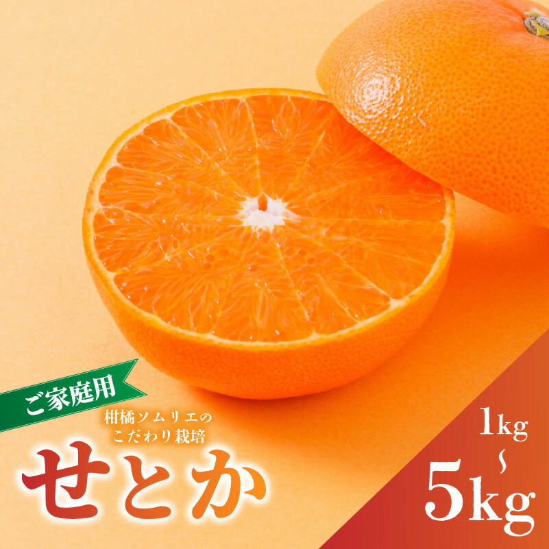 【ふるさと納税】 せとか 家庭用 1kg/2.5kg/5kg B品 【順次発送中】 | 高級 みかん 柑橘 蜜柑 果物 くだもの フルーツ おすすめ 高級 人気 お取り寄せ グルメ ギフト 期間 数量 限定 ご当地 愛媛県 松山市 蓮果園
