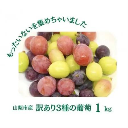 【2026年先行受付】訳あり 葡萄3品種 粒シャインマスカット 黒ぶどう 赤ぶどう 計1kg【配送不可地域：離島・沖縄県】【1703902】