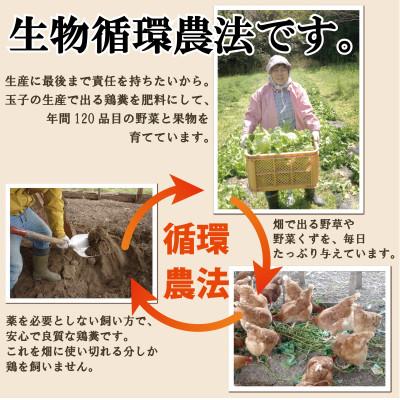 ふるさと納税 南知多町 さとの平飼い玉子20個&季節の野菜セット |  | 03