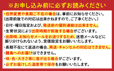 【2026年発送分 先行予約】【全12回定期便】佐賀県の事業者を応援！佐賀県プレミアム定期便 / 佐賀県ふるさと納税 [41AAZZ016]