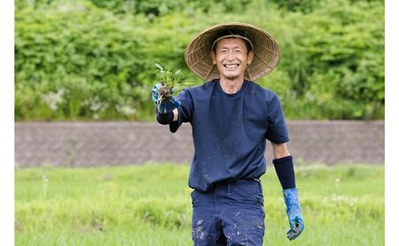 【玄米】江戸伝承絶品米２Kg お米 コメ 