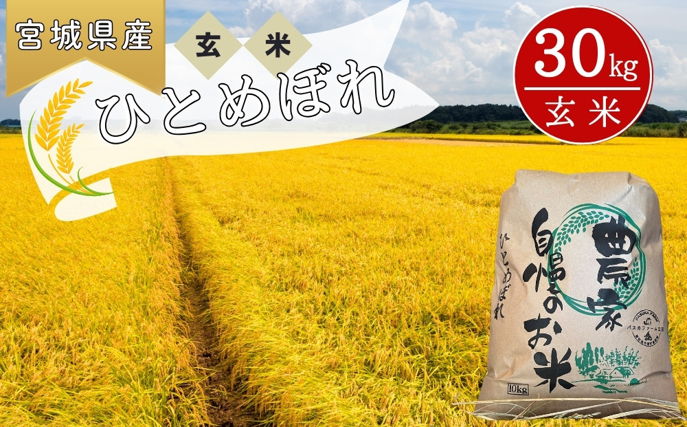 
            【令和6年産】【新米】 ひとめぼれ（玄米）30kg 宮城県 東松島市 ヒトメボレ 米 玄米 お米 おこめ オンラインワンストップ 自治体マイページ P
          