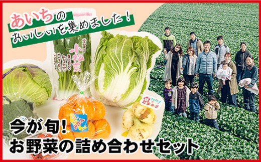 今が旬！お野菜の詰め合わせセット｜旬野菜 詰め合わせ 野菜セット 新鮮 冷蔵 旬食材 食卓 野菜レシピ 無農薬 感想 野菜ボックス おまかせ 野菜配達 家庭料理 送料無料 愛知県 No.214