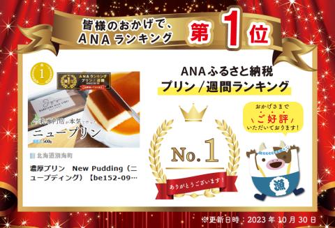 濃厚プリン　New Pudding（ニュープディング）【be152-0931】