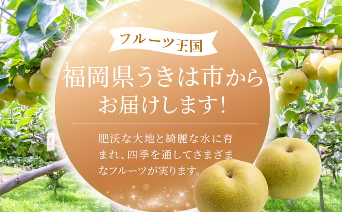 幸水梨 10～16玉 （約5kg）