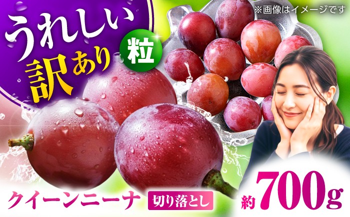 
                  【2026年発送先行予約】訳あり クイーンニーナ ぶどう 切り落とし 約700g 【合同会社 社方園】ブドウ 葡萄 フルーツ 果物 お取り寄せ 熊本県産 大粒 山鹿 国産  1万円以下 10000円以下 [ZBZ039]
                