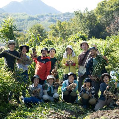 ふるさと納税 土庄町 小豆島ジンジャー&ダイダイレモンシロップ3本セット |  | 03