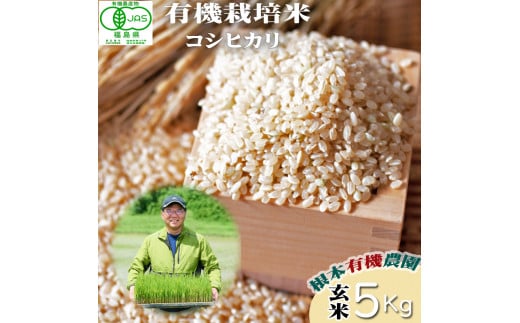 
            【令和6年産】 南相馬 コシヒカリ 5kg 5キロ JAS 有機米 根本有機農園 コシヒカリ 玄米 精米 コメ ブランド米 福島 福島県産 低温貯蔵庫 送料無料 たんぱく質 旨い ふるさと納税 オンライン申請【3004001】
          