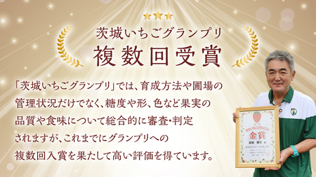 【 茨城いちごグランプリ 受賞 農園 】 完熟 いちご 2品種 食べ比べ セット 茨城県オリジナル品種 イチゴ 苺 フルーツ 果物 果実 いばらキッス ひたち姫 [DY002ci]