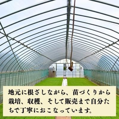 ふるさと納税 小松市 【先行予約】令和8年産 コシヒカリ 精米 15kg 石川県 小松市 こしひかり お米 白米 元田農産 |  | 02
