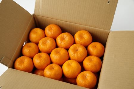 S040-007A_農家の手摘み100年ポンカン 約5kg〈先行受付〉