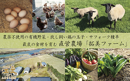 「2泊3日連泊プラン」江差旅庭 群来（くき）《おひとり様宿泊券》　北海道の高級旅館　大人の隠れ家　源泉かけ流し天然温泉宿　個室温泉付き客室　直営農場の平飼い卵・サフォーク羊・野菜山菜　船買いの新鮮魚介
