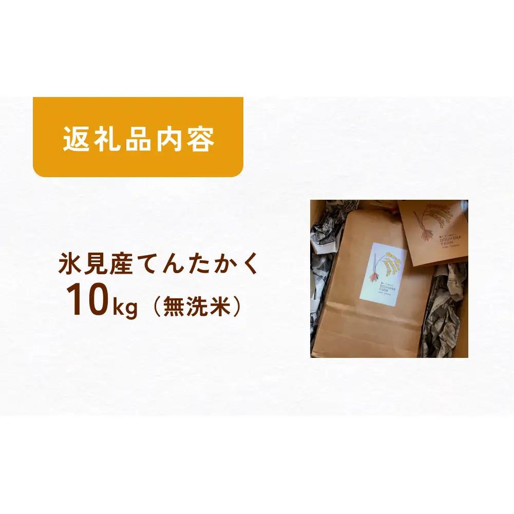 〈無洗米〉 米 令和7年産 富山県氷見産 てんたかく 10kg ｜無洗米