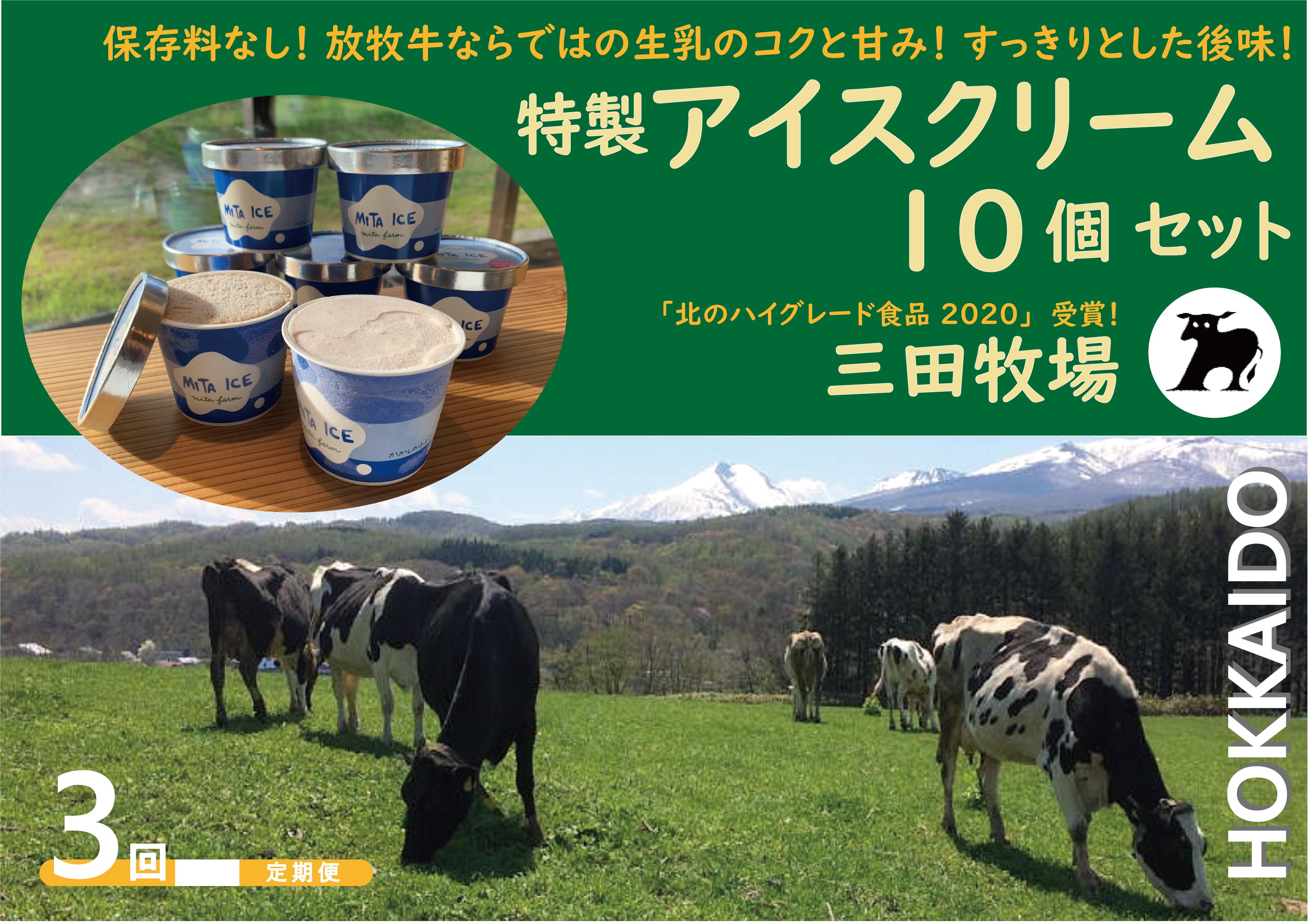 
                  【3ヵ月定期便】アイス 三田牧場 特製 アイスクリーム 4種類 10個 セット ミルク チョコレート いちごみるく ラムレーズン お菓子
                