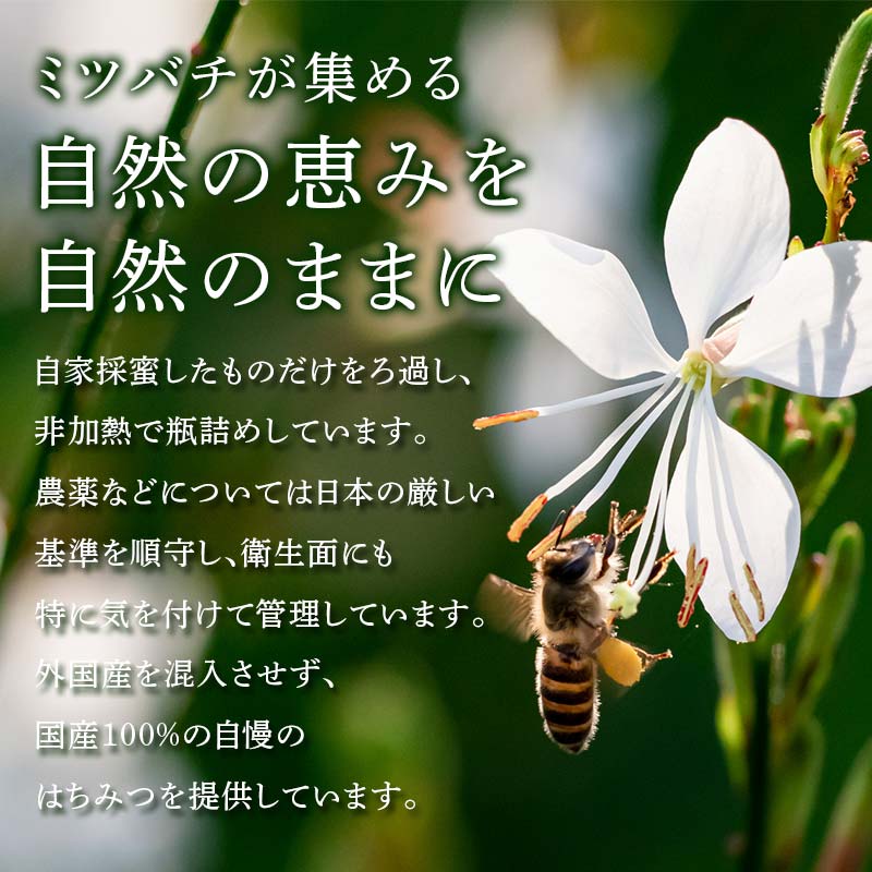 柿の天然はちみつ 900g(300g×3) 伊達市産 国産 天然 蜂蜜 ハチミツ ハニー F20C-294