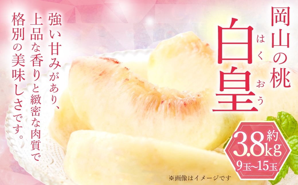 
                  岡山の桃 白皇 9～15玉 （約3.8kg） 【2026年8月下旬～9月下旬発送予定】 新品種 糖度 香り 果実 くだもの 果物 フルーツ もも 桃 モモ ピーチ 国産 岡山県産 ブランド 甘み 肉質
                