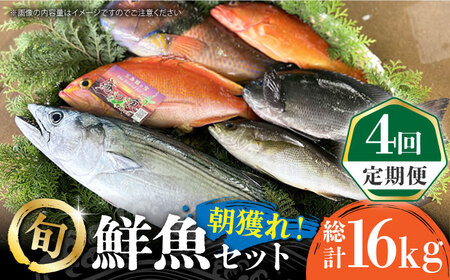 【全4回定期便】五島列島直送！朝獲れ鮮魚セット4kg　鯛福丸水産/五島市 [PDP014]