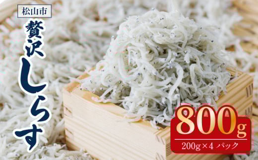 釜揚げ しらす 800g ( 200g × 4パック ) 冷凍 小分け 約12人前 しらす丼 丼ぶり 魚 さかな ご飯 ごはん 炒飯 チャーハン パスタ スパゲティ サラダ 卵焼き 釜揚げ 釜揚げしらす お取り寄せ グルメ 人気 おすすめ 愛媛県 松山市 IY001 人気おすすめ